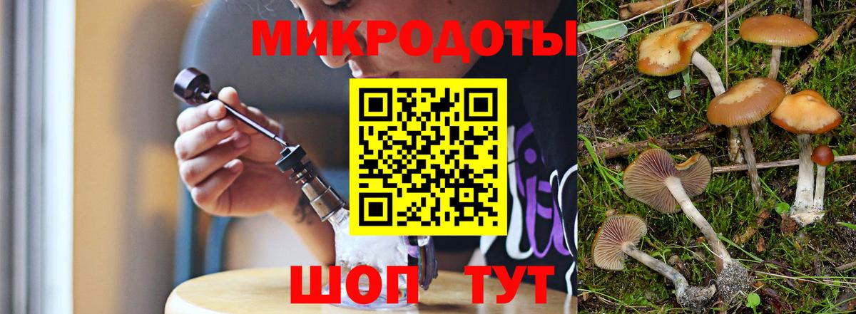 Галлюциногенные грибы GOLDEN TEACHER  Галлюциногенные грибы мухоморы  Вход с VPN  Алейск 